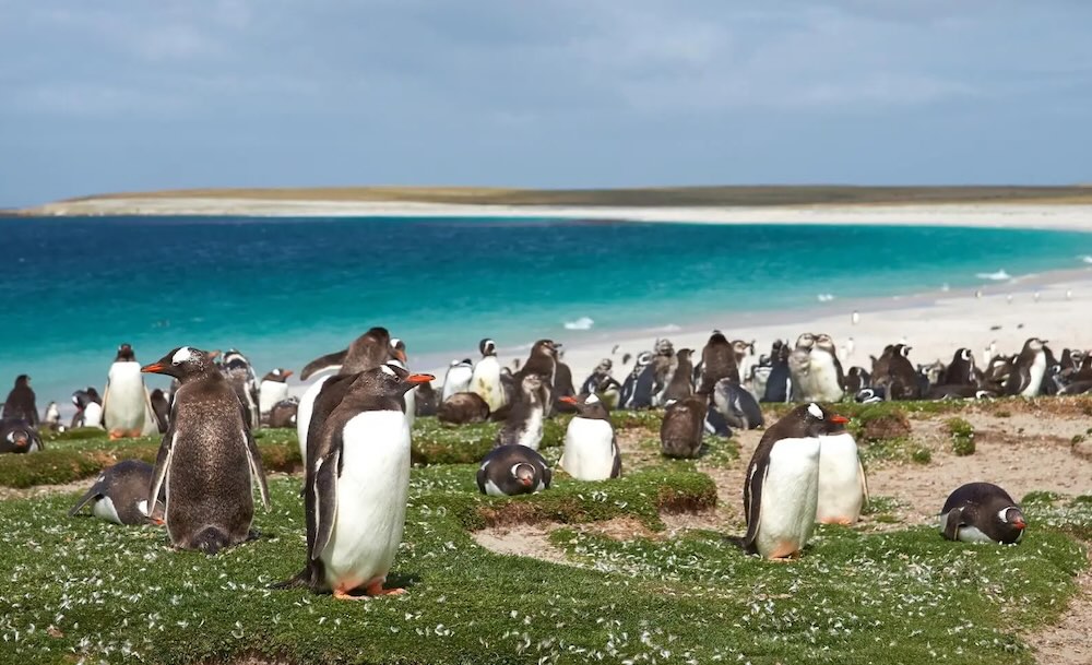 Image accompanying Falklands offshore development faces new international legal challenge